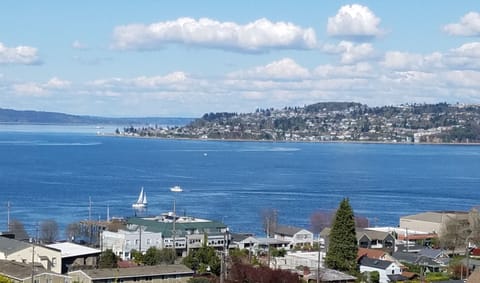 This is actual view from 2 bedrooms, living, dining, yard and porches/decks