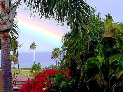 View from Our Lanai.