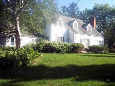 Birch tree east by driveway