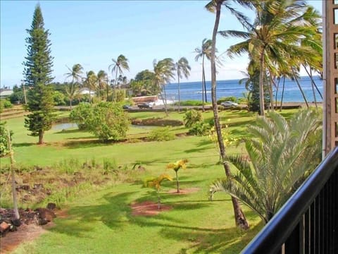 Oceanview from your Lanai
