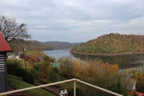 Year Round Lake View