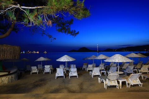 Private beach, sun loungers, beach umbrellas