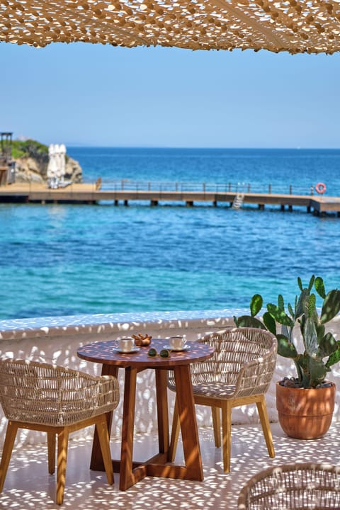 Beach bar