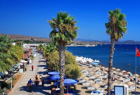Private beach, sun loungers, beach umbrellas