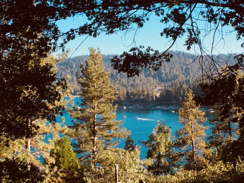 Not a postcard.  Actual view from my cabin.