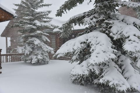 Snowy Outside.  Cozy Inside.