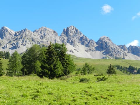 vista dal soggiorno e camera matrimoniale
