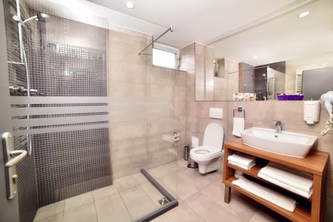 Free toiletries, hair dryer, towels