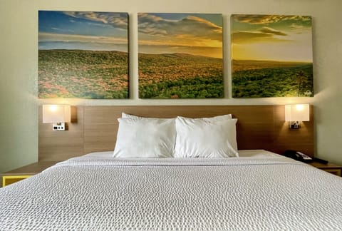 Suite, 1 King Bed, Non Smoking | Desk, iron/ironing board, free WiFi, bed sheets