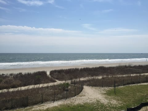 On the beach