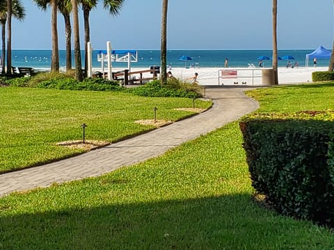 View from the lanai