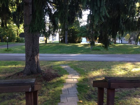 View from the front porch, looking towards the lake 