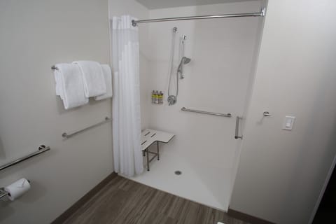 Combined shower/tub, free toiletries, hair dryer, towels