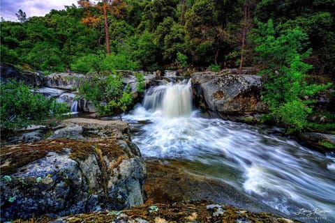 Photo by Larry Ransom
larryransomphotography.com
