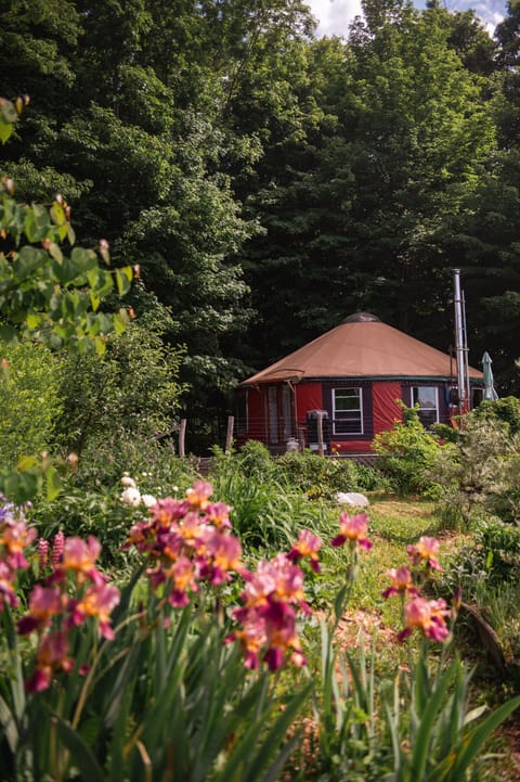 Yurt gardens in spring