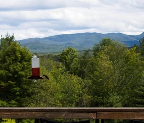 "The Sleeping Squaw"