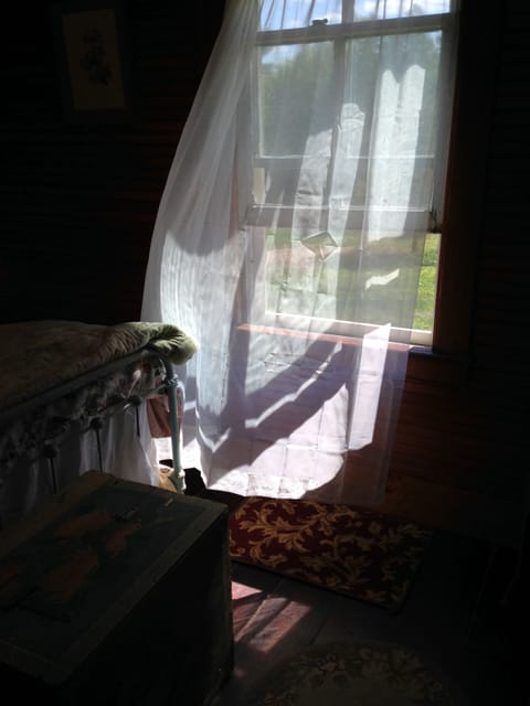 Lazy summer afternoon 
