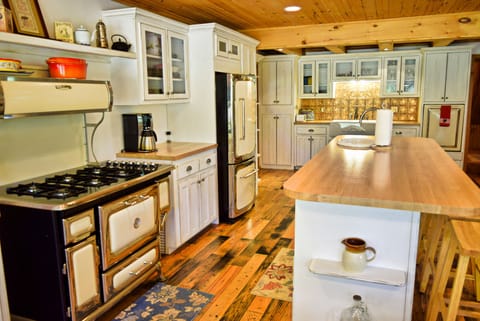 Large Gourmet  kitchen