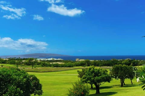 Spectacular Ocean view from lanai