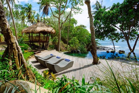 The pool viewed by the guest house