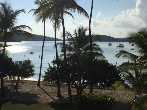 View in the morning