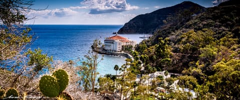 CATALINA pictured by one of our past guests...thanks HANK!