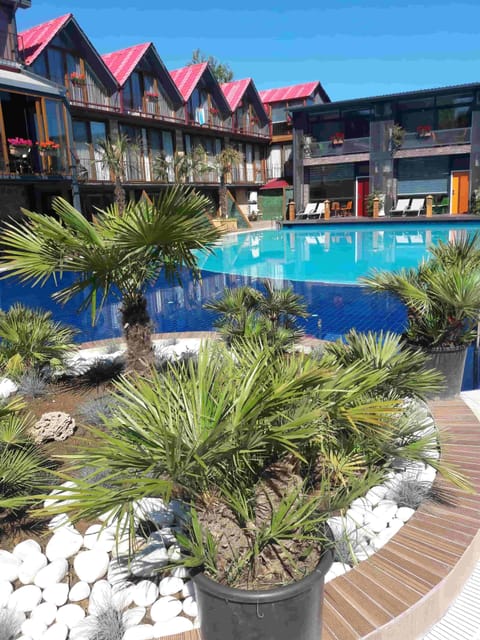 Outdoor pool, pool umbrellas, sun loungers
