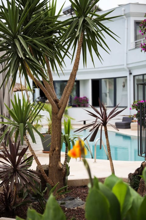 Outdoor pool, pool umbrellas, sun loungers