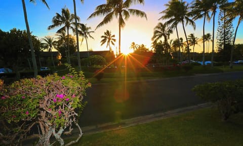 View Of The Sunset Over The Golf Course & Pool, Looking From The Condo's Lanai