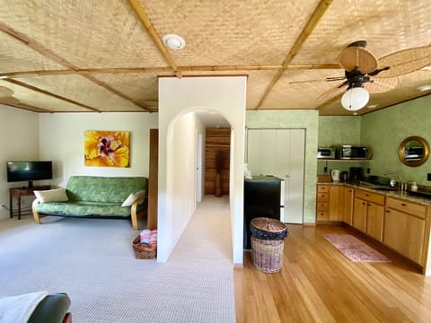 The living room, kitchen and hall leading to the bedroom and bathroom
