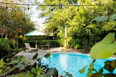 Incredible salt water pool in a beautiful, tranquil and private setting 