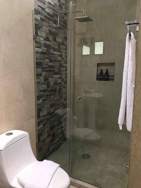 Shower, rainfall showerhead, free toiletries, hair dryer