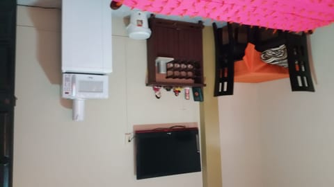 Television