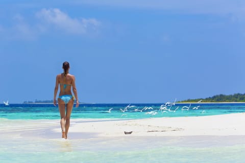 Beach Area