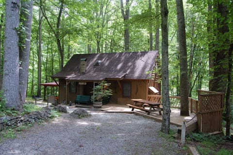Bear paw cabin spring time view 
