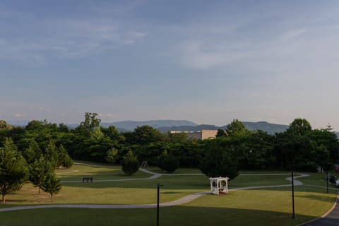 Balcony View
