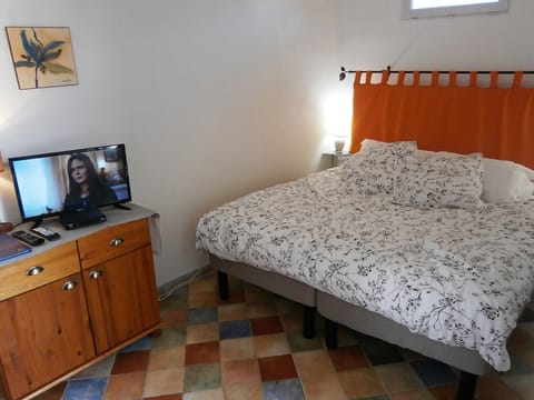 Large bed and TV