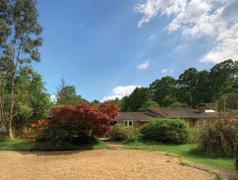 Beautiful New Forest Setting