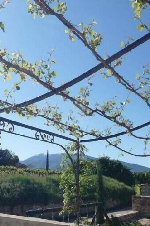 The terrace in spring and the Ventoux