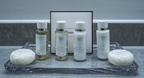 Minibar, in-room safe, desk, laptop workspace