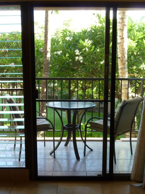 Looking out over the lanai to the garden