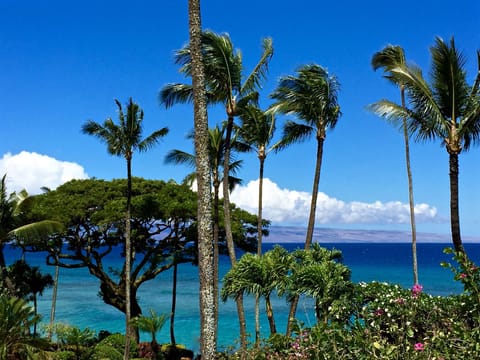 Spectacular ocean and tropical view from our private lanai (balcony)!