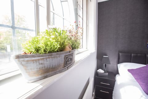 Twin Room With Private En-suite | View from room