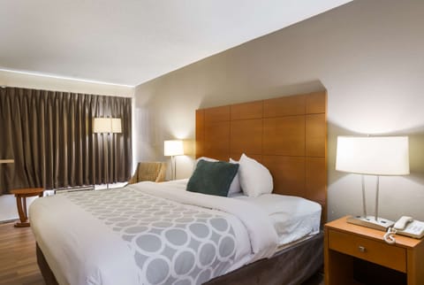 Standard Room, 1 King Bed, Non Smoking | Minibar, desk, soundproofing, iron/ironing board