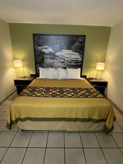 Studio Suite, 1 King Bed, Smoking | Desk, blackout drapes, free cribs/infant beds, free WiFi