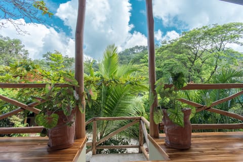 Villa Almendro | Garden view