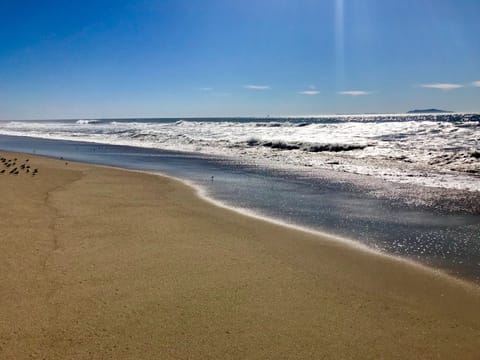 Two houses away from Mandalay beach! See Channel Islands off our coast. 