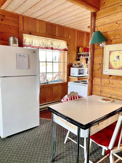 View of the kitchen from the living area showing the extra table.