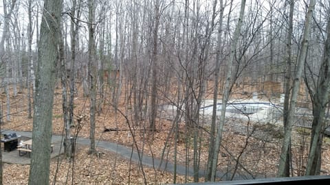 outdoor view from living room windows-outdoor pool is beyond path