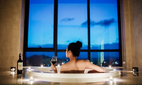 Combined shower/tub, free toiletries, hair dryer, bathrobes